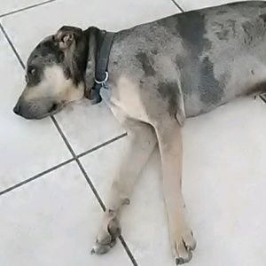 Meet your Posher, Rene